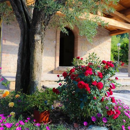 Agriturismo La Tana Citta di Castello Exterior photo