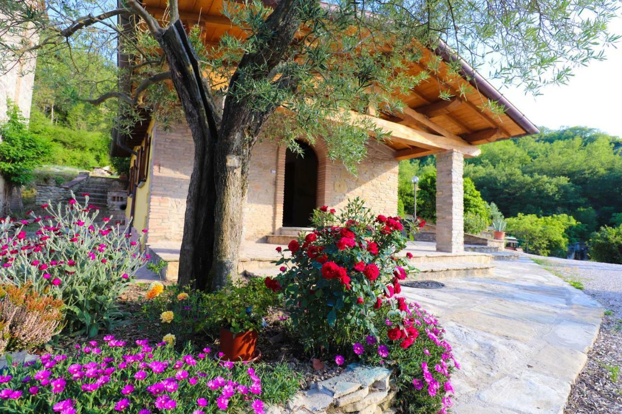 Agriturismo La Tana Citta di Castello Exterior photo